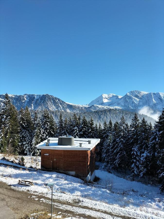 Appartement Le Sorbier A Chamrousse 3 Pieces 6 Personnes Aux Pieds Des Pistes Buitenkant foto