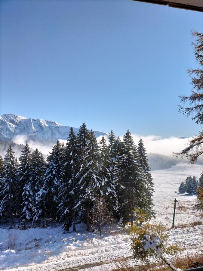 Appartement Le Sorbier A Chamrousse 3 Pieces 6 Personnes Aux Pieds Des Pistes Buitenkant foto